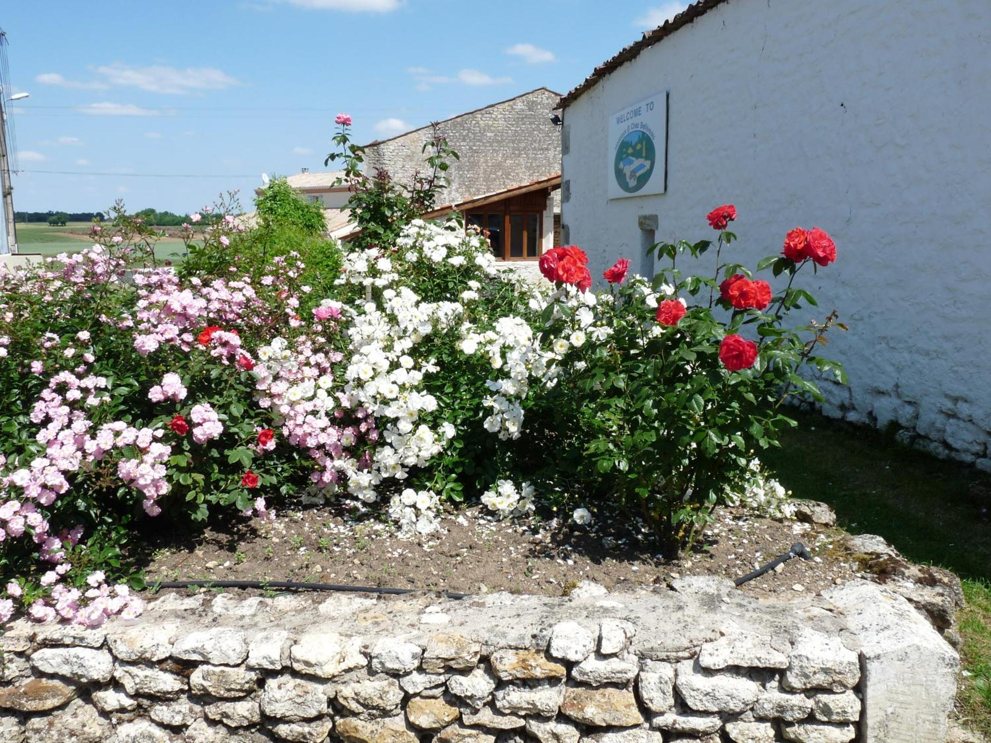 Gites Chez Belliveau Meursac Zewnętrze zdjęcie