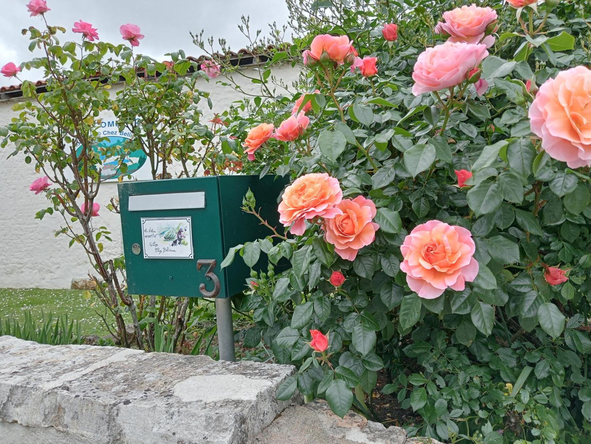 Gites Chez Belliveau Meursac Zewnętrze zdjęcie